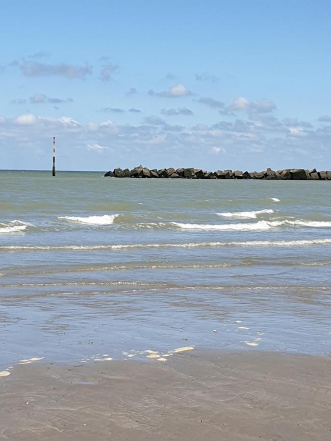 Appartement Malo Les Bains Plage 敦刻尔克 外观 照片